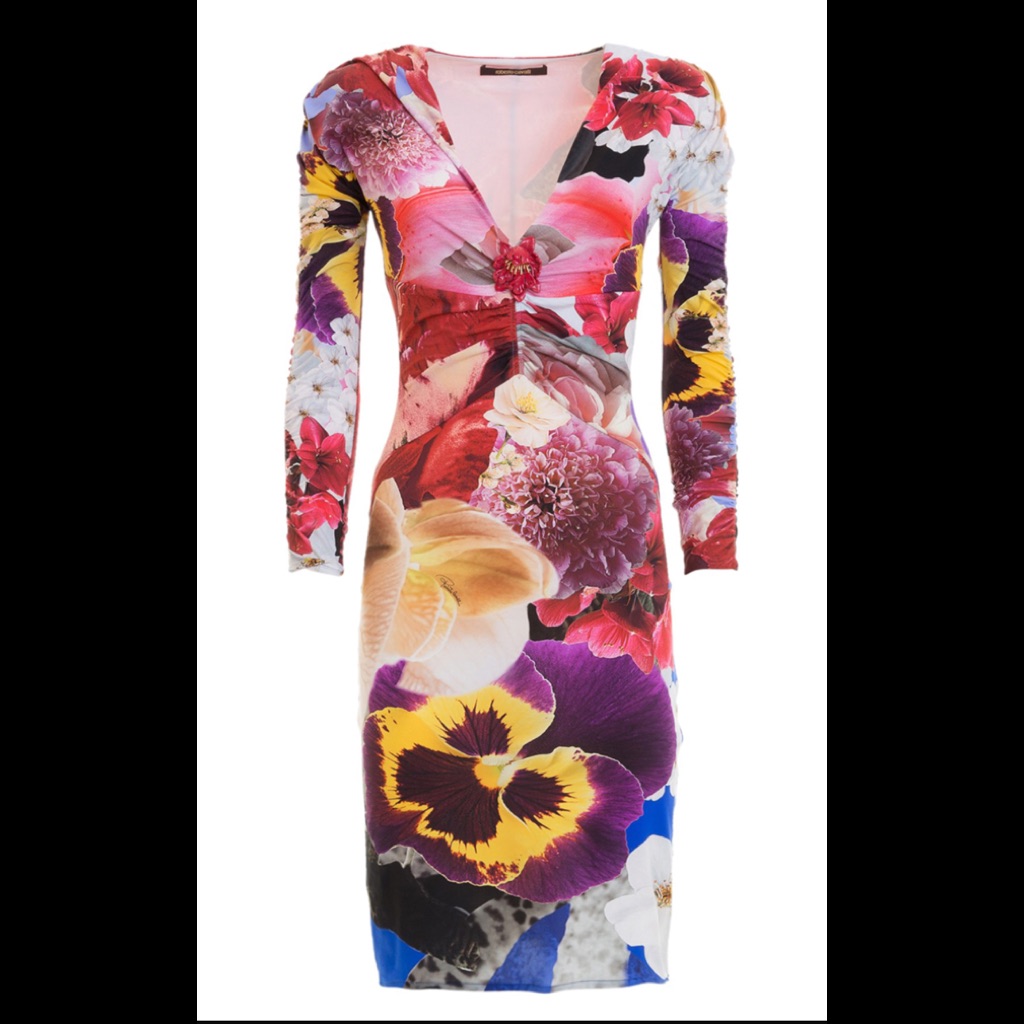 Roberto Cavalli Dress